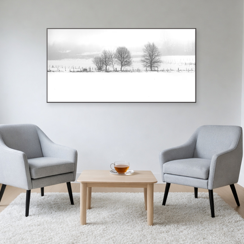 Lees meer over het artikel Vier bomen naast elkaar in de sneeuw in Zuid-Limburg.