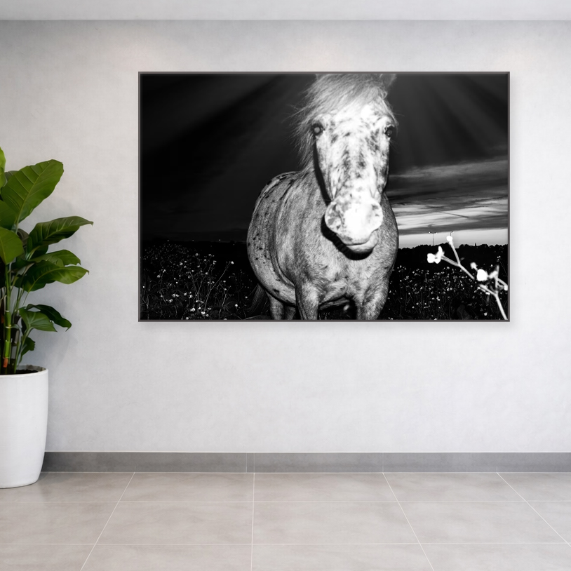 Lees meer over het artikel Een pony met wilde ogen in de schemering.