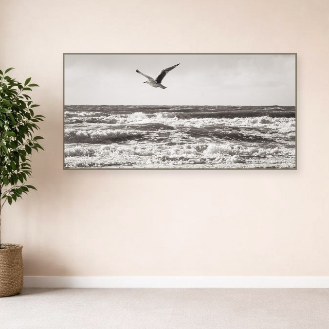 Lees meer over het artikel Gewichtsloos zweven boven de immer veranderende zee.