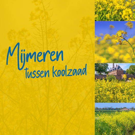 De intens gele kleur van het koolzaad bevolkt het landschap vanaf april.