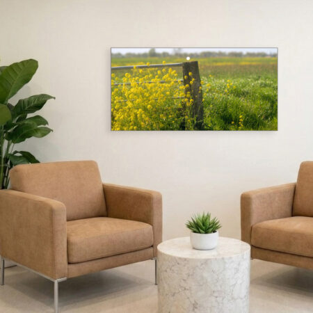 Lees meer over het artikel Een hekje, weilanden, terug naar huis wandelen.